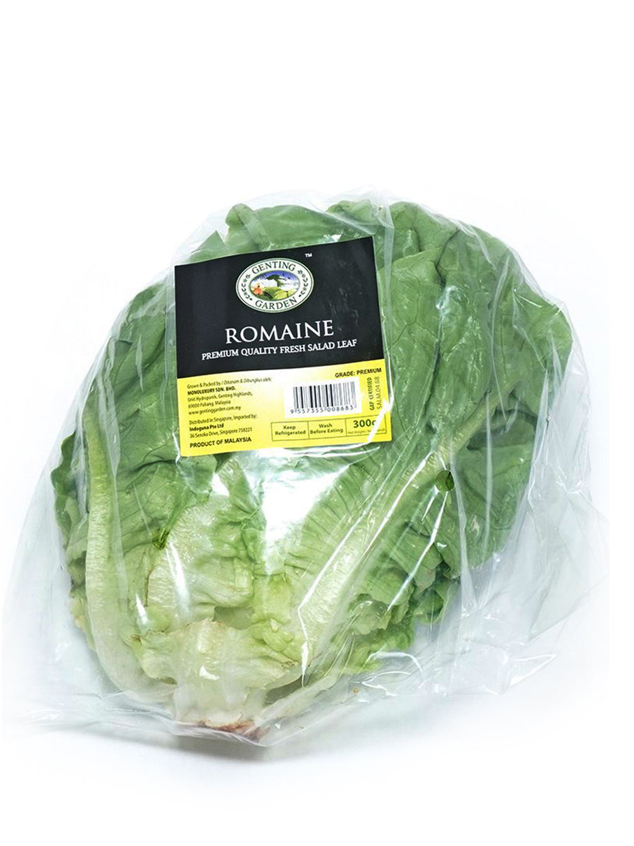 GENTING GARDEN ROMAINE LETTUCE 300G – Village Grocer - Central i-City